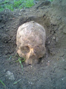 calavera-044 Cada dia se encuentran restos que hay que analizar por si existiese delito