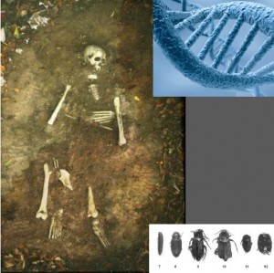 Curso de Antropologia forense Curso de Antropologia forense