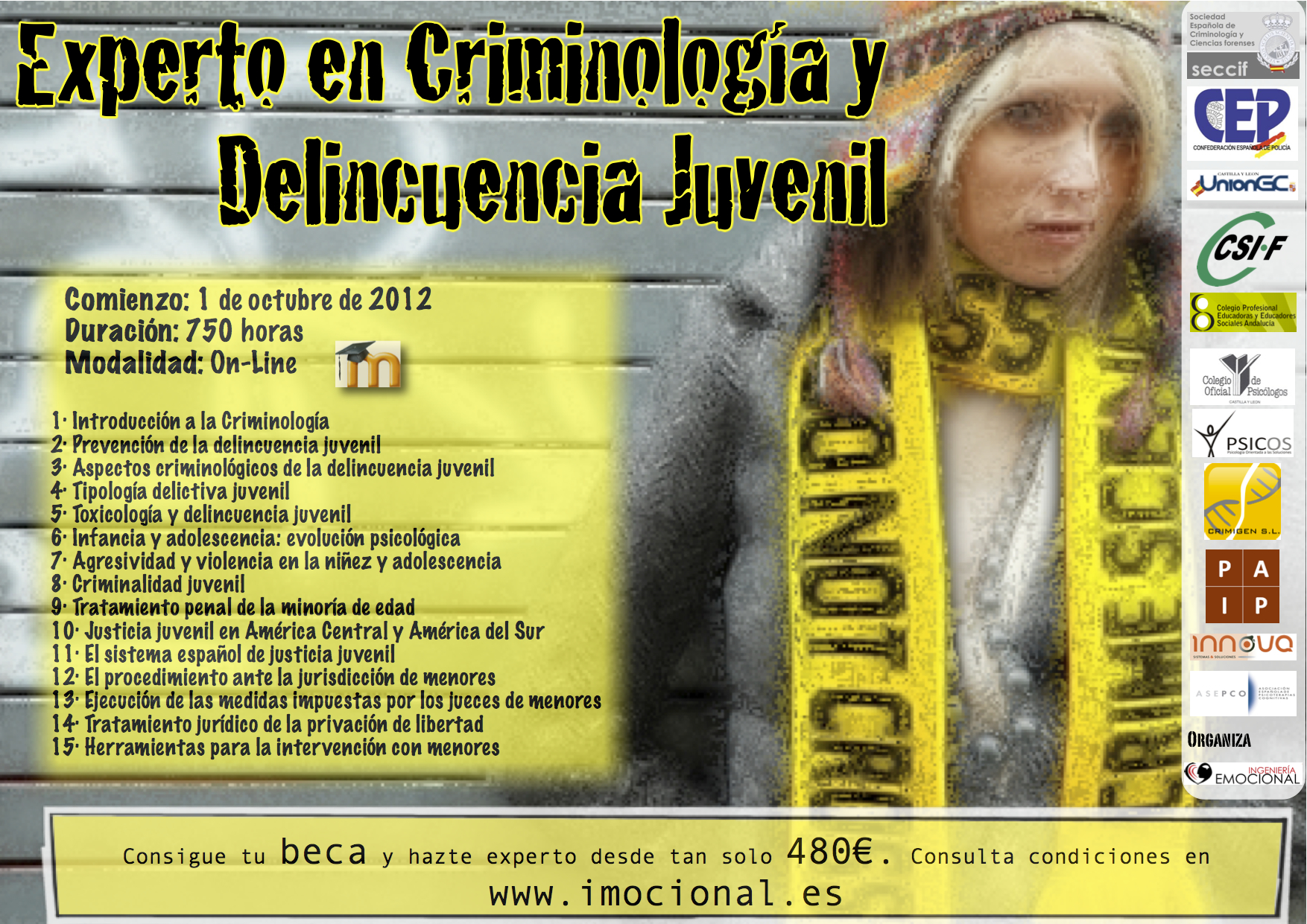 Curso de experto en criminologia y delincuencia juvenil