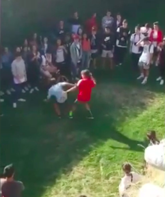 Menores que se citan para pegarse, grabarlo y subir el video a internet