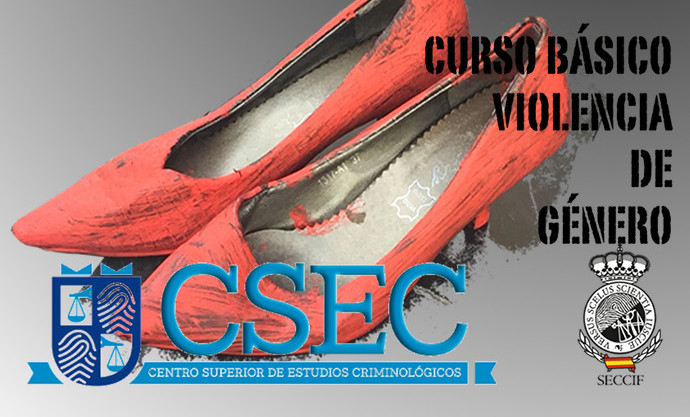 Curso básico de violencia de género Curso básico de violencia de género